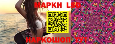 шишки Славянск-на-Кубани
