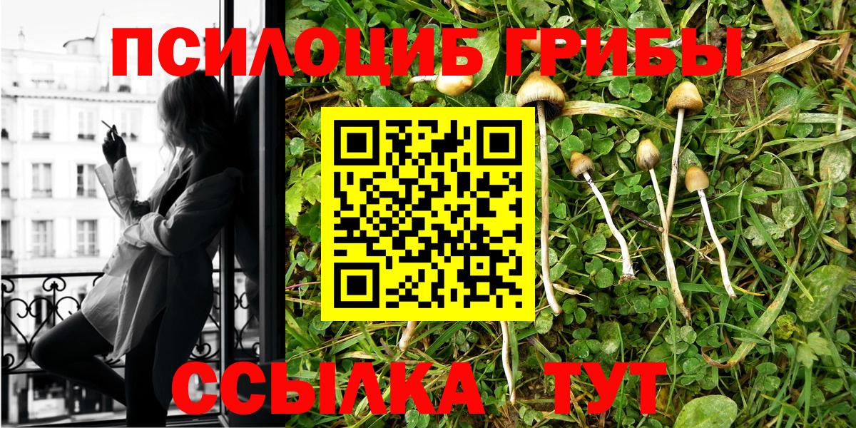 сколько стоит  Вход с VPN  Новочеркасск  Галлюциногенные грибы Psilocybine cubensis 